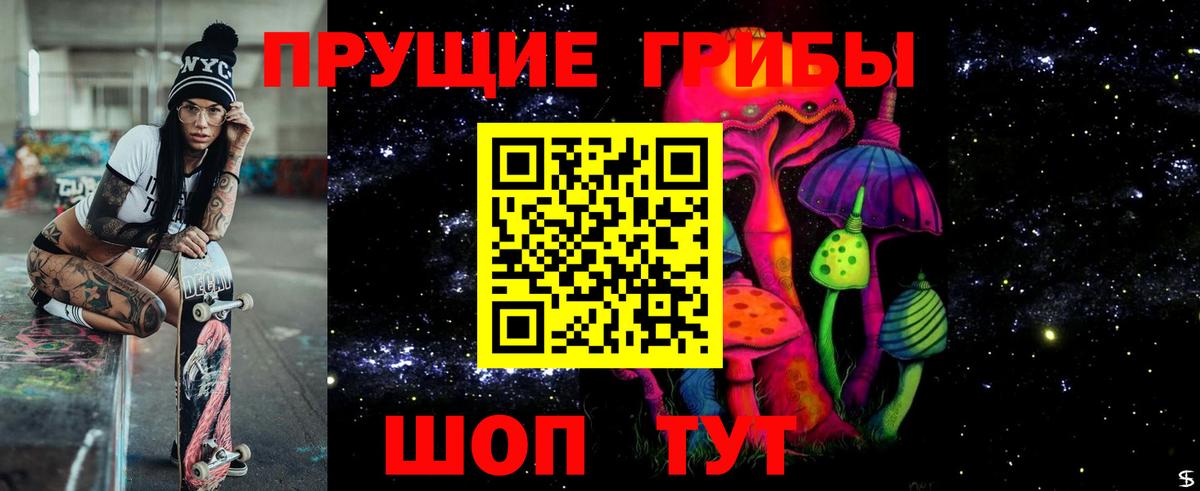 Псилоцибиновые грибы MAGIC MUSHROOMS  Псилоцибиновые грибы MAGIC MUSHROOMS  Куйбышев  Вход с VPN 