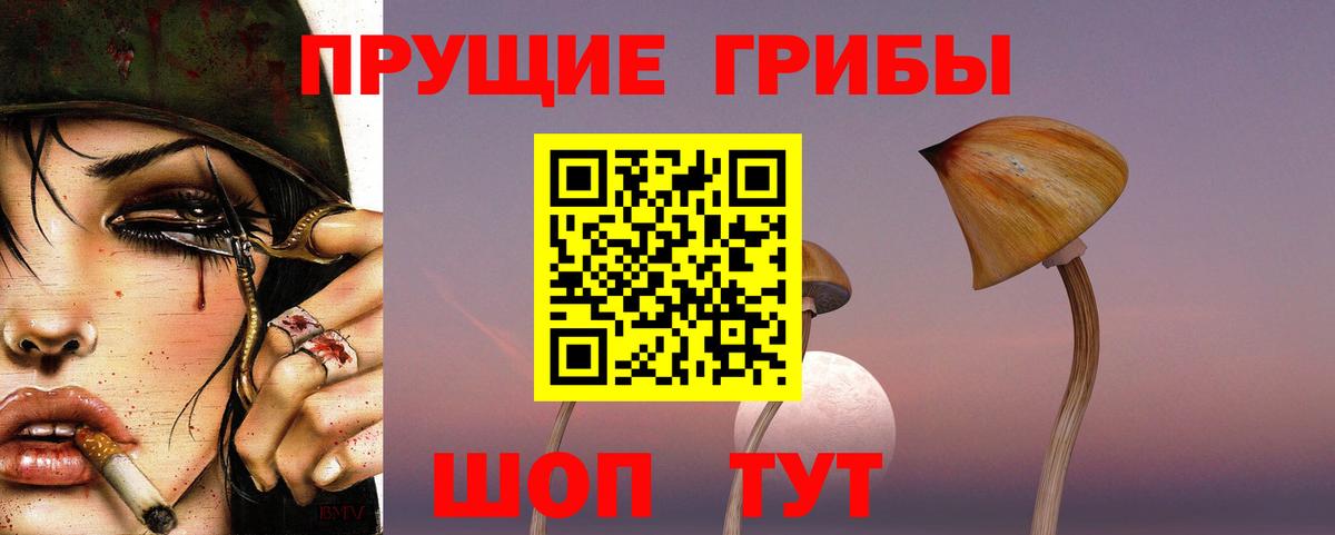 Псилоцибиновые грибы Psilocybine cubensis Куйбышев